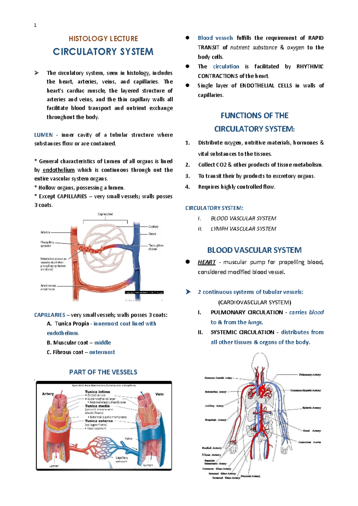 L8- Histology - HISTOLOGY LECTURE CIRCULATORY SYSTEM The circulatory ...