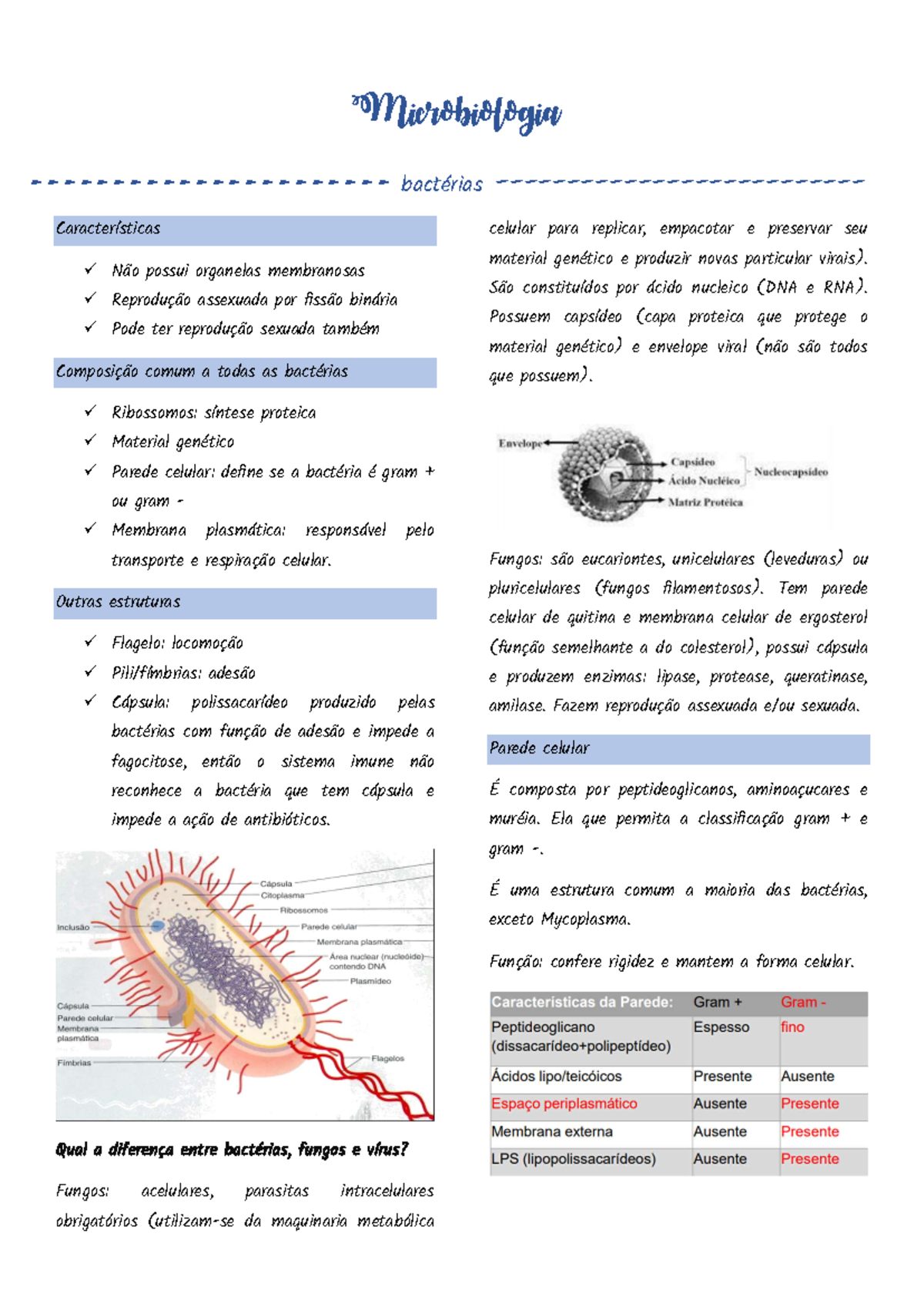 Bactérias - Resumo Microbiologia - Características Não possui organelas ...