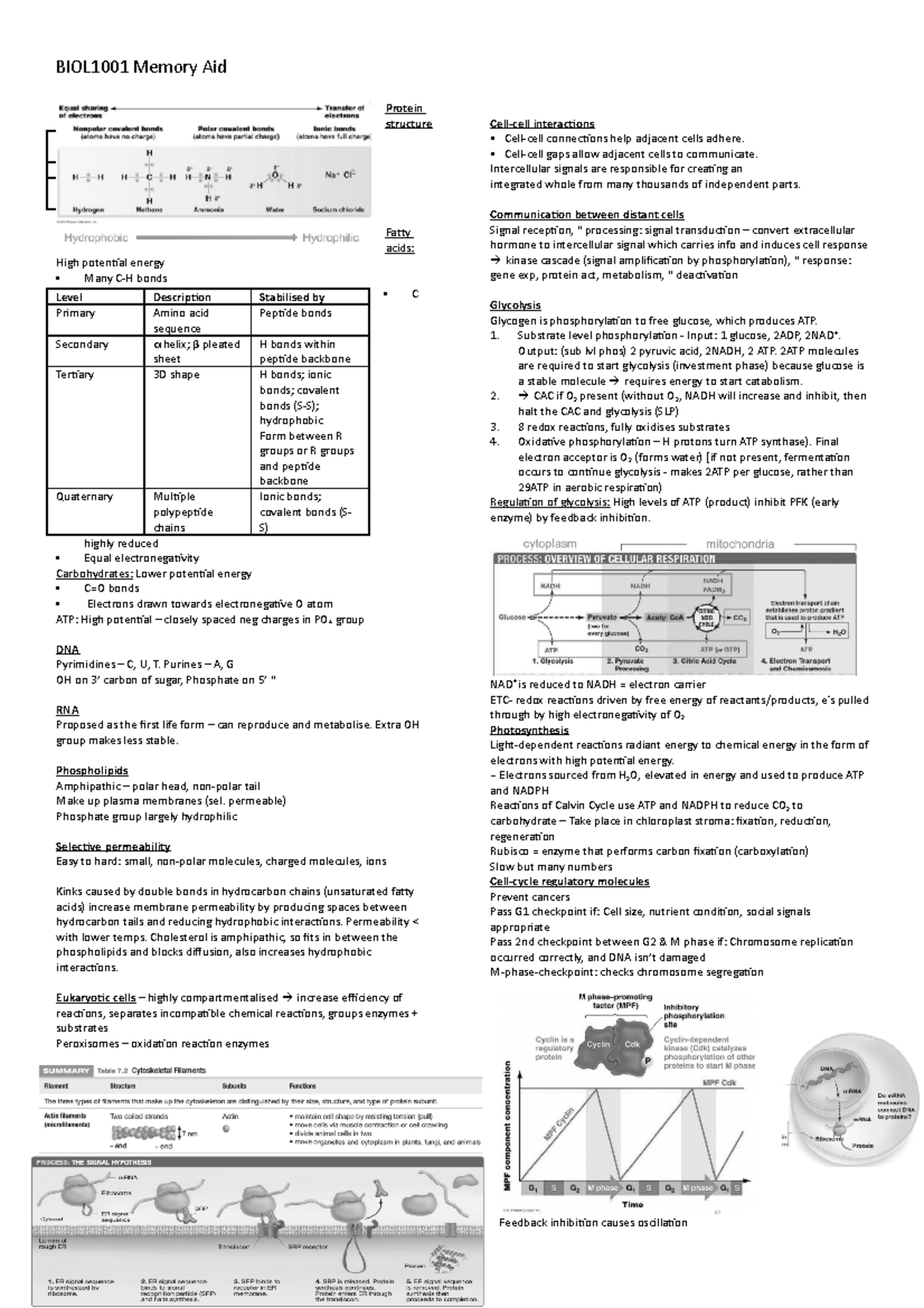 BIOL1001 Memory Aid - BIOL1001 Memory Aid Protein Structure Biomolecule ...