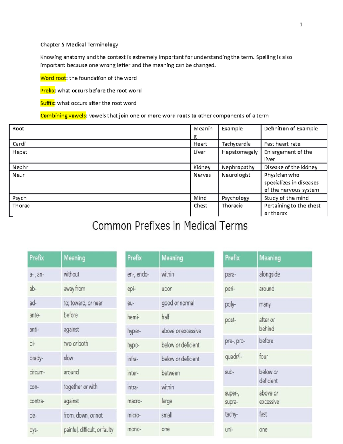 chapter 5 case study medical terminology