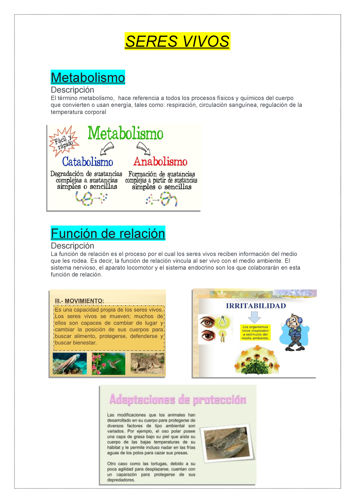 Seres Vivos Resumen Seres Vivos Metabolismo Descripci N El T Rmino Metabolismo Hace