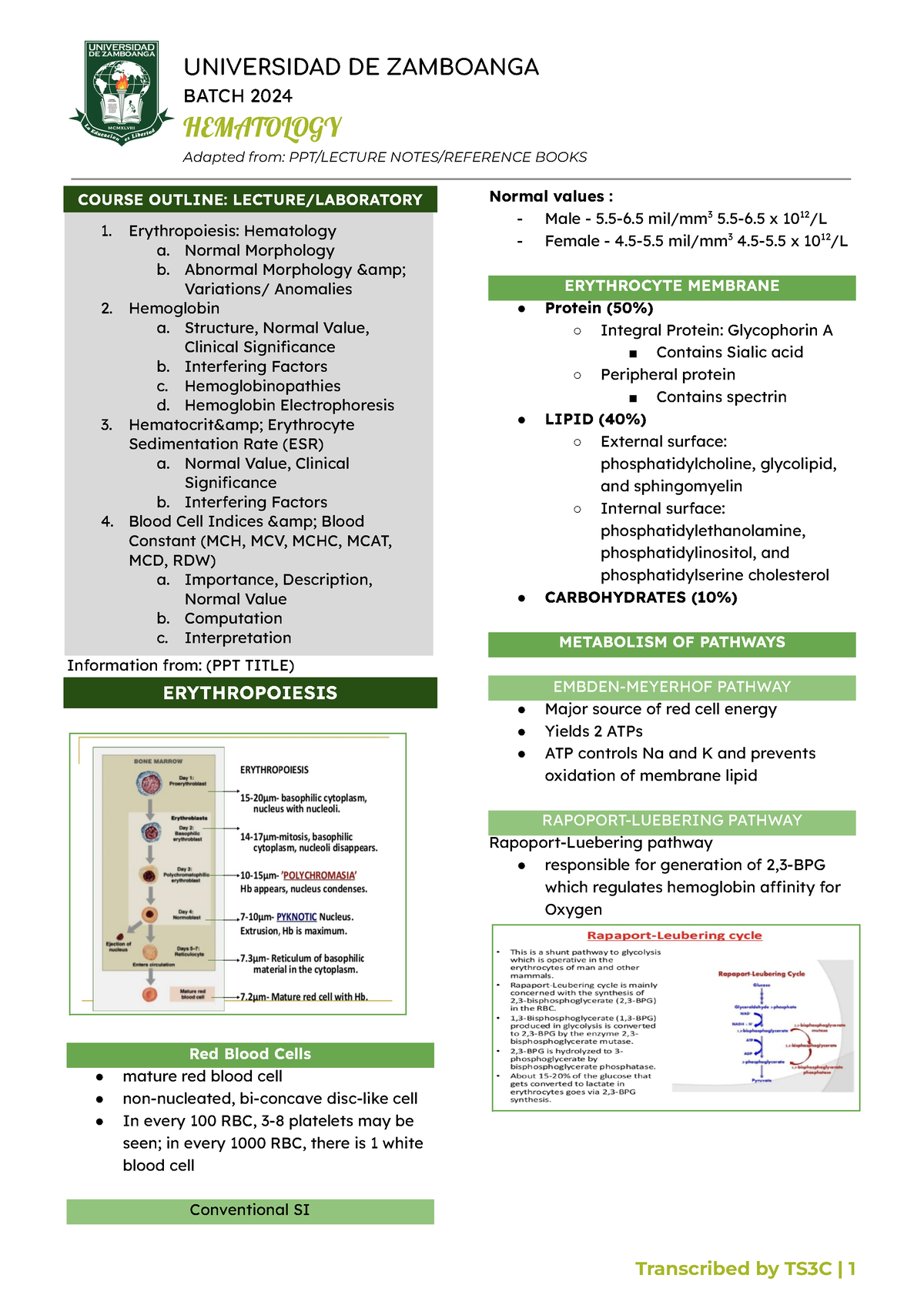 Hematology WEEK 4 Midterms BATCH 2024 HEMATOLOGY Adapted from PPT/LECTURE NOTES/REFERENCE