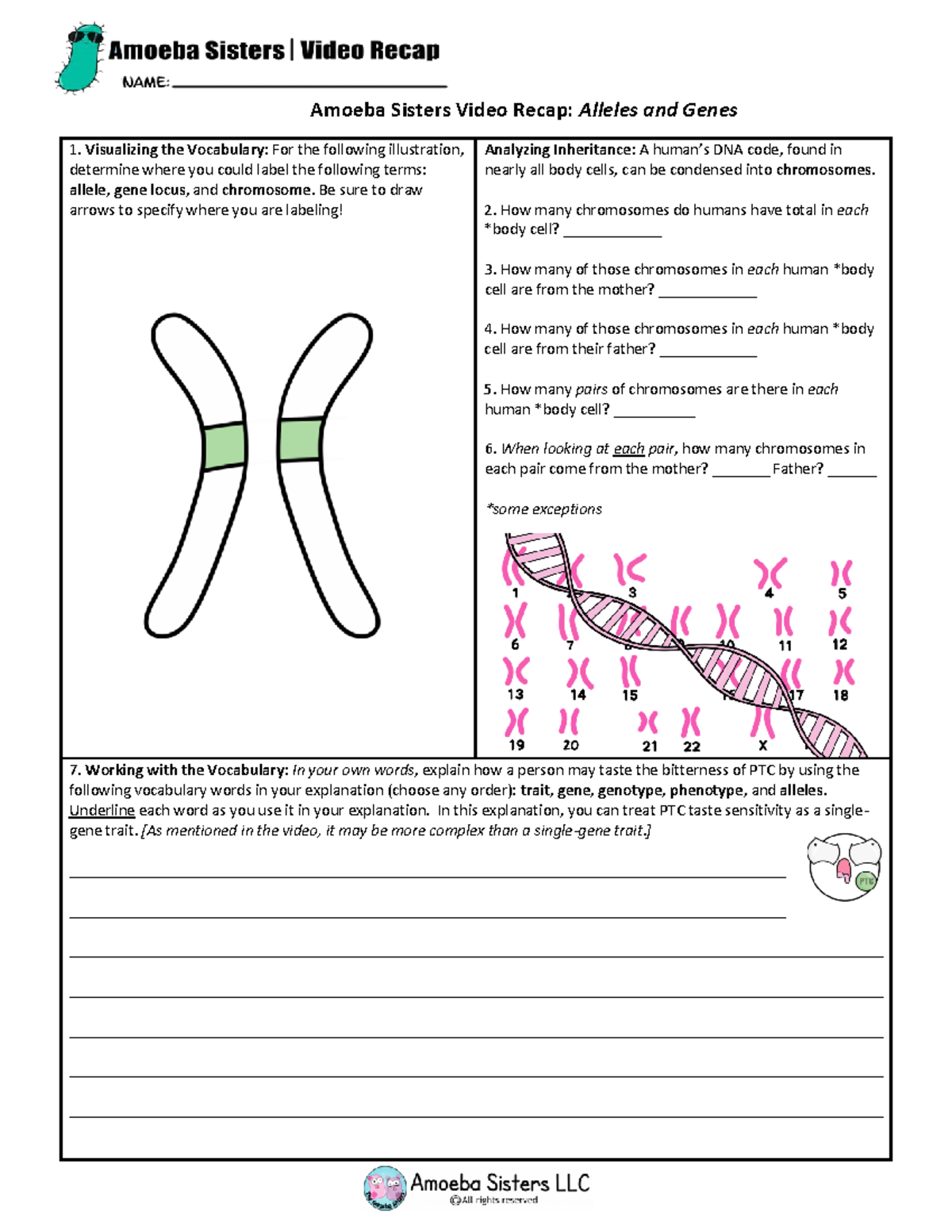 1 2 Alleles And Genes Amoeba Sisters Video Recap Alleles And Genes Visualizing The Vocabulary 9167