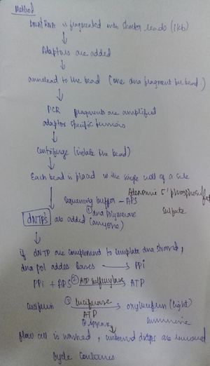[Solved] Explain the features of pBluescript Write its applications ...
