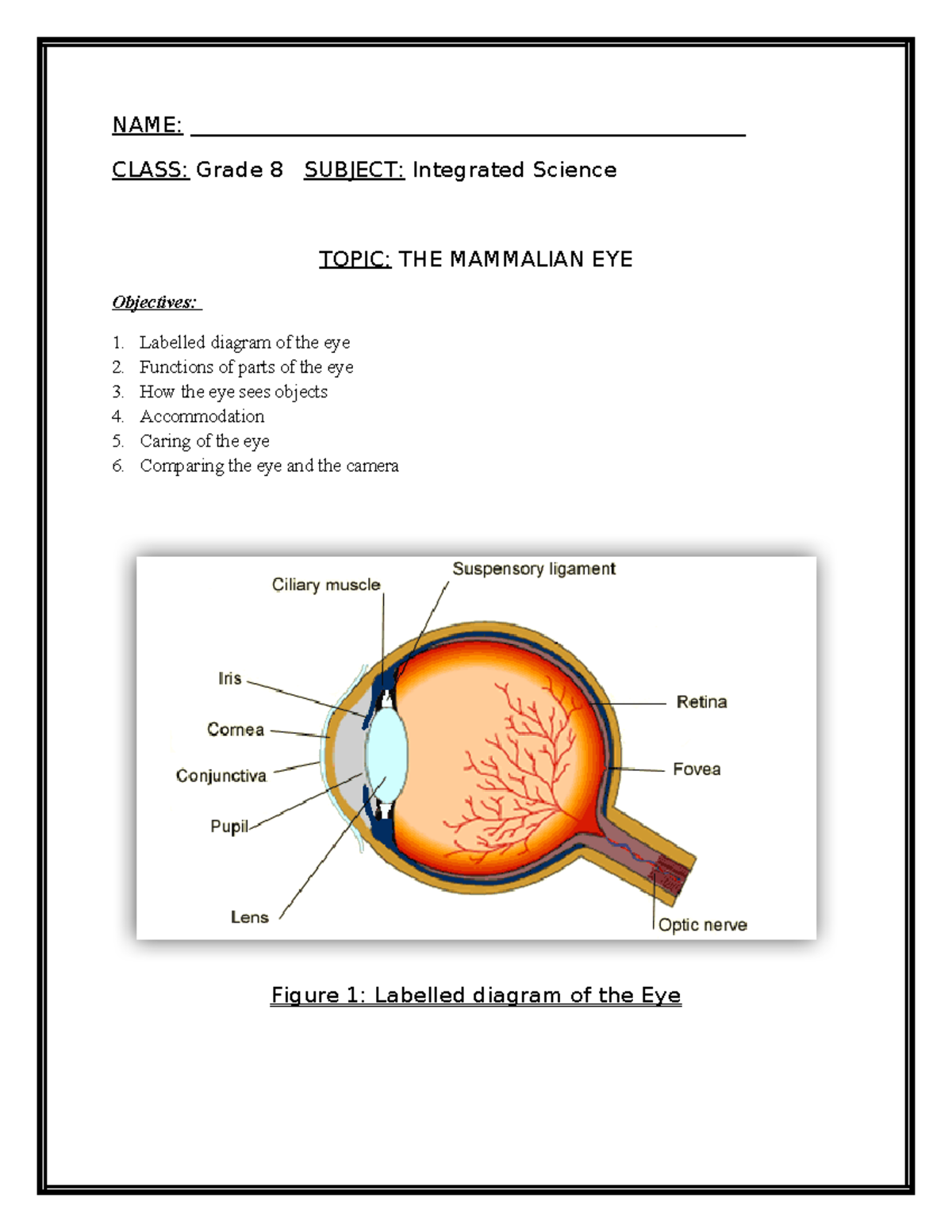 THE EYE AND THE EAR Contains diagrams and parts and functions of the