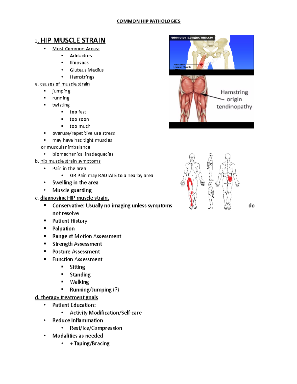 Hip - notes - 1. HIP MUSCLE STRAIN • Most Common Areas: • Adductors ...