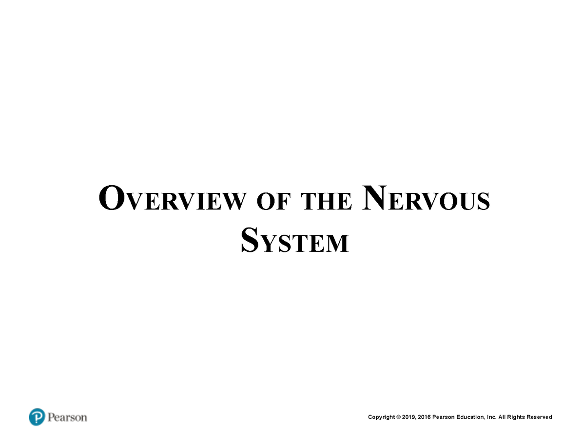 Neuro 2 - OVERVIEW OF THE NERVOUS SYSTEM the Nervous System controls ...