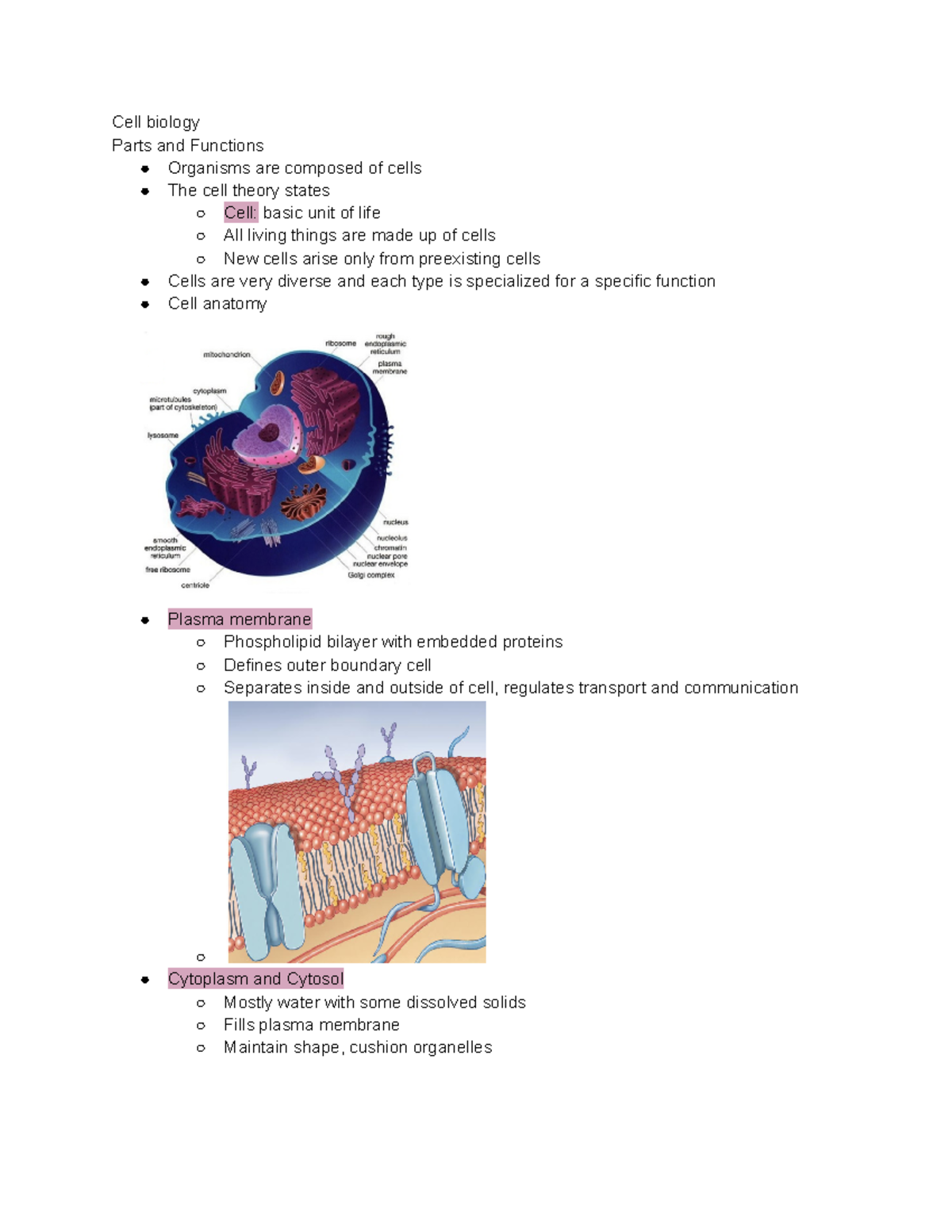 Cell Biology - Cell biology Parts and Functions Organisms are composed ...