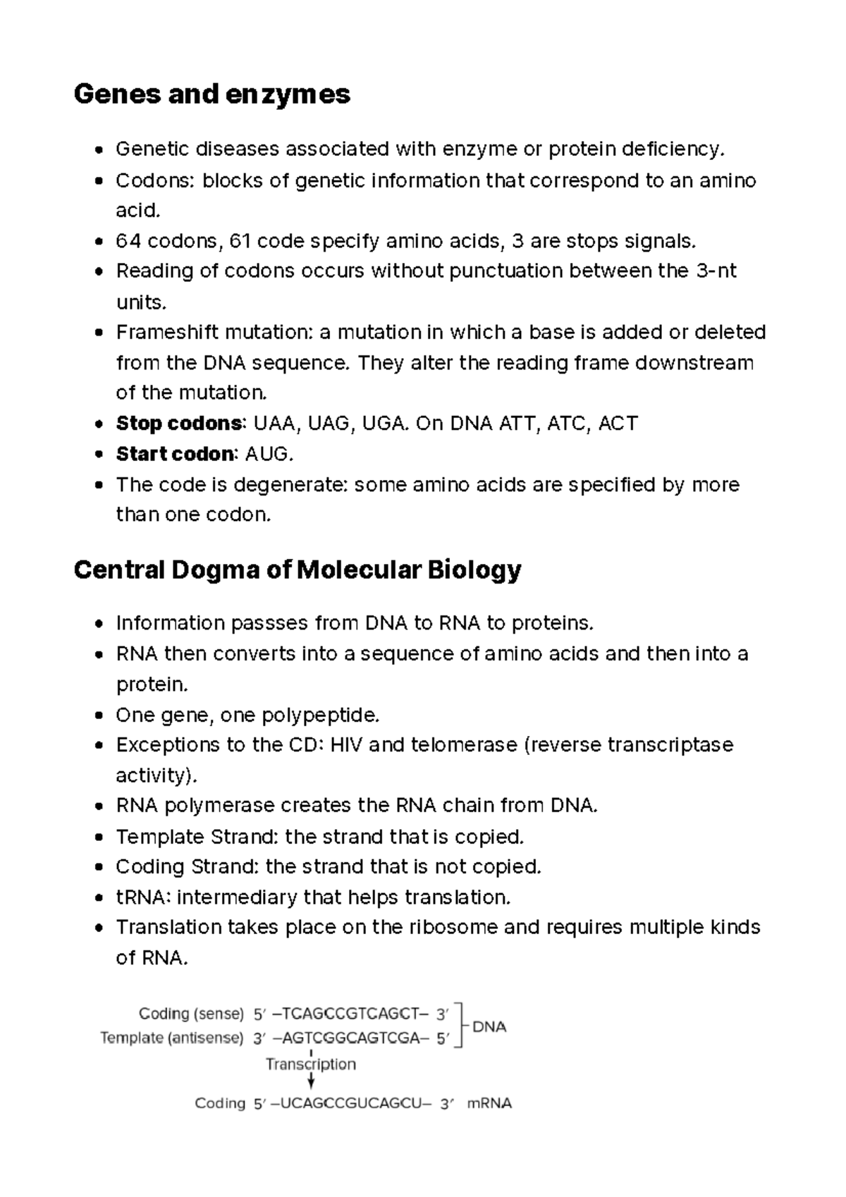 Central Dogma BIOL 1081 Genes and enzymes diseases