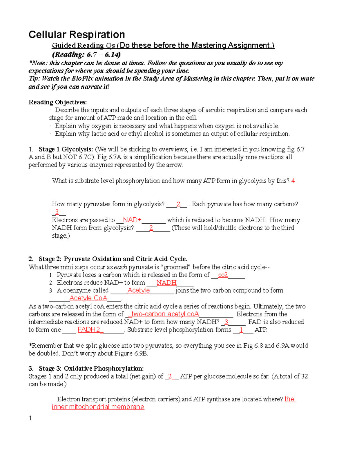 GRQ 7 - GRQ - Cellular Respiration Guided Reading Qs (Do these before ...