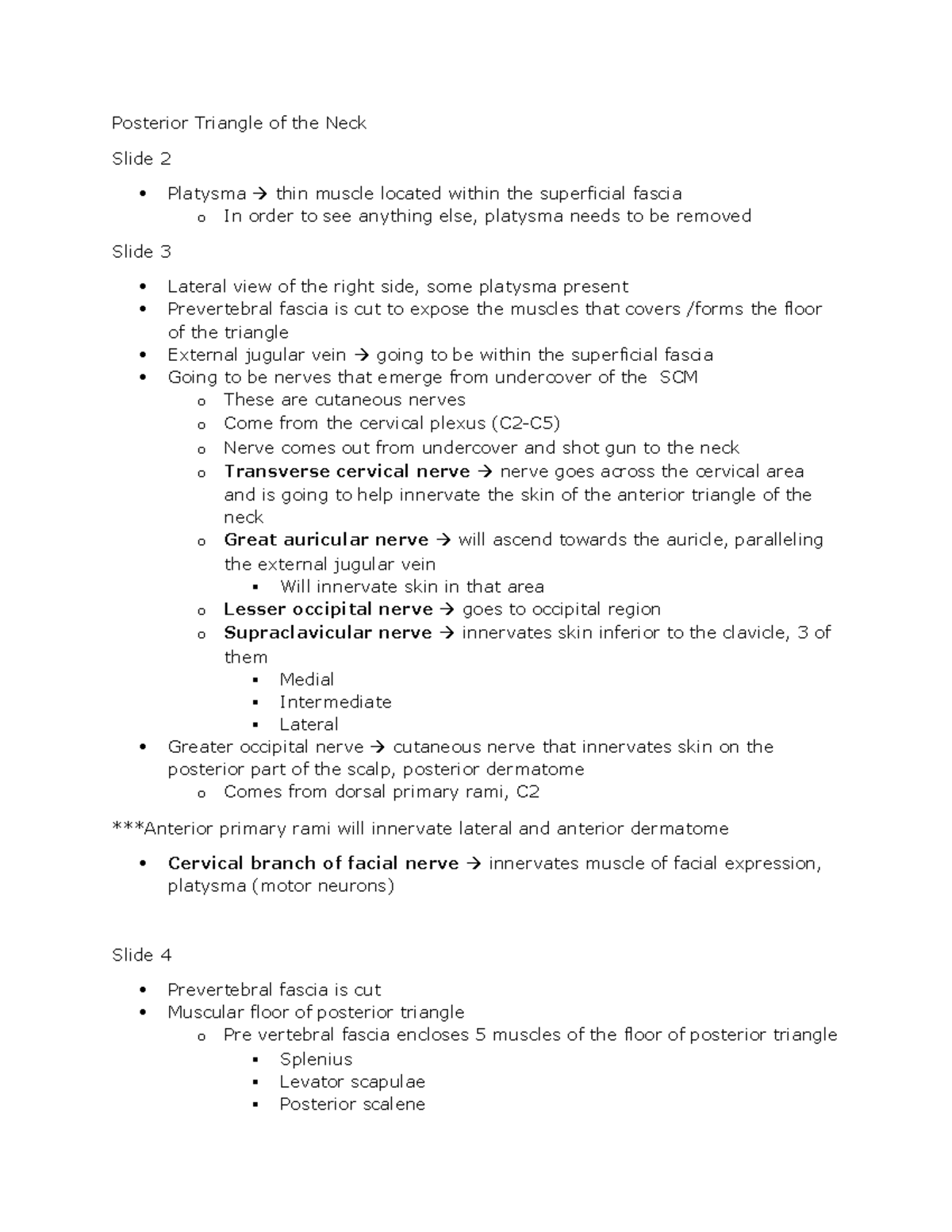 Posterior Triangle of the Neck word doc - Posterior Triangle of the ...