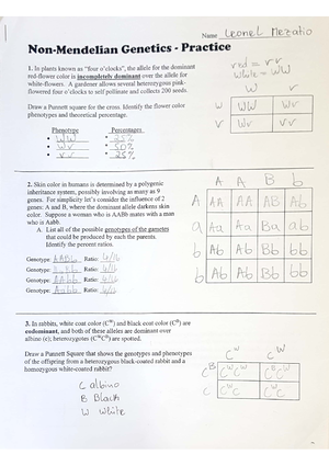 BIO 280 - Non-Mendelian Genetics - Practice - BIO 280 - Studocu