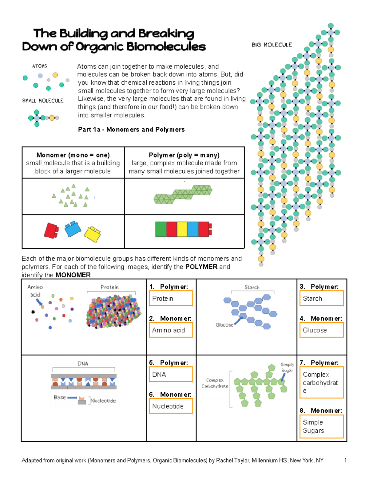 Building And Breaking Down Of Organic Biomolecules - Atoms Can Join ...