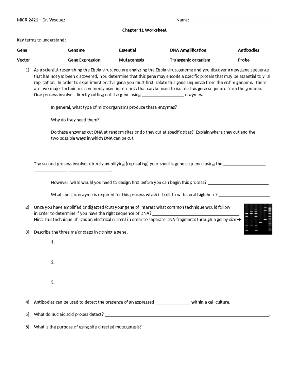 Chapter 11 Microbiology textbook assignments worksheet paper for ...