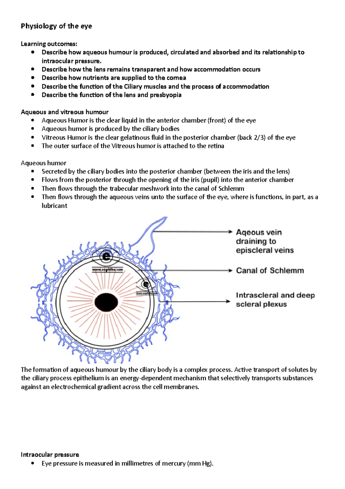 physiology-of-the-eye-physiology-of-the-eye-learning-outcomes