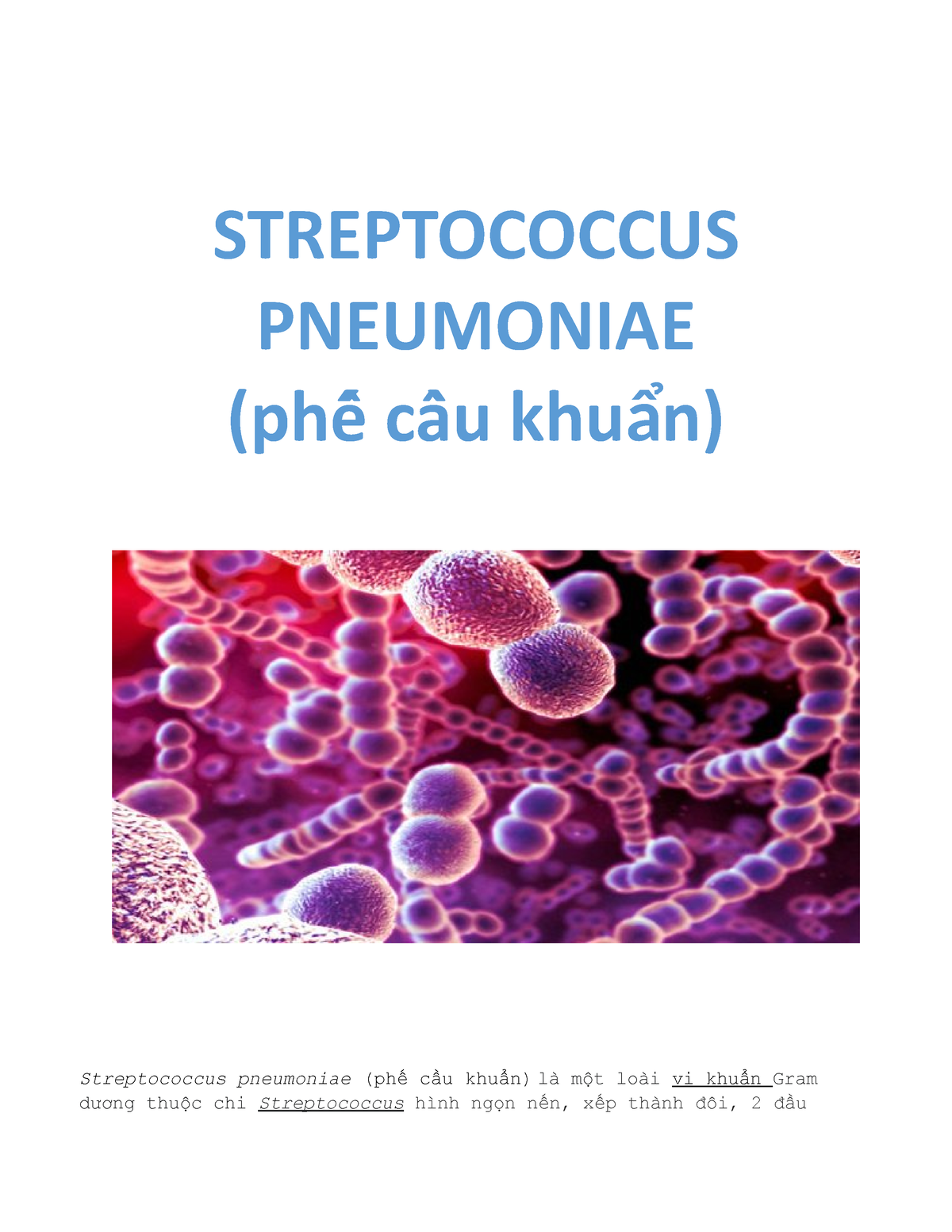 Streptococcus Pneumoniae Streptococcus Pneumoniae Phếế Cầầu Khu Nẩ Streptococcus Pneumoniae 