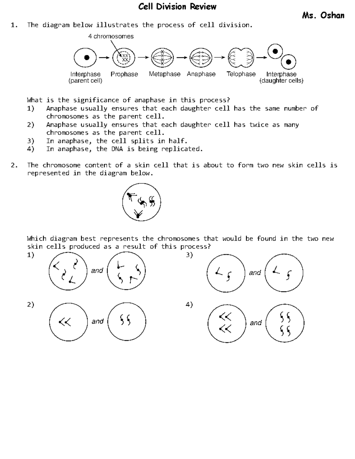 Cell division review - Ms. Oshan The diagram below illustrates the ...