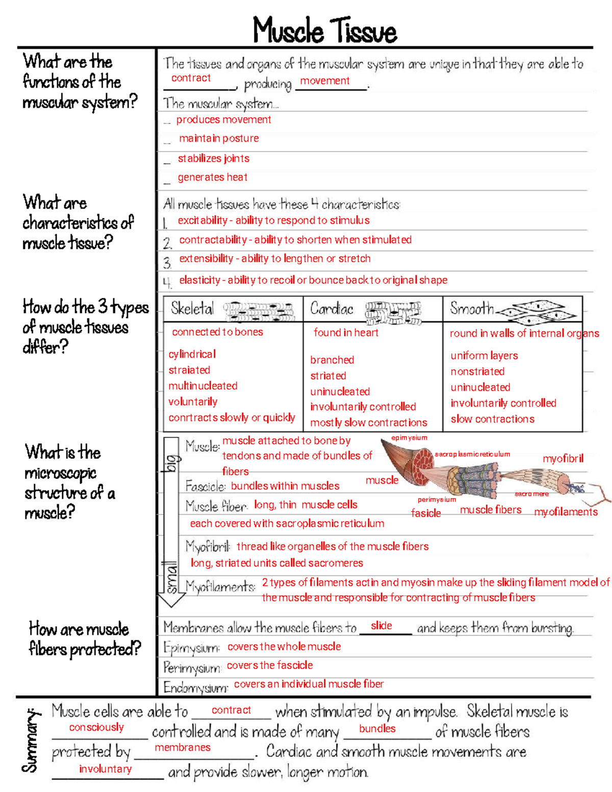 Kami Export - Brekyn Knowles - Student notes - Studocu