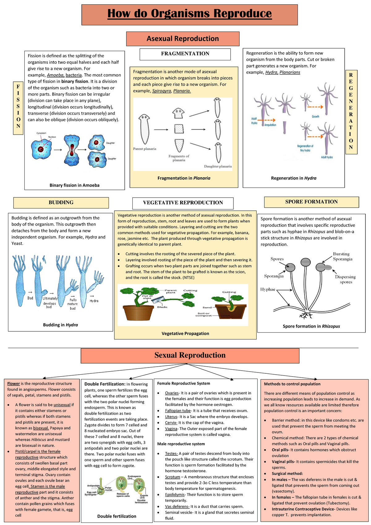 Chapter 8 - HOW DO Organisms Reproduce 56d9f737-824d-40e7-b923 ...