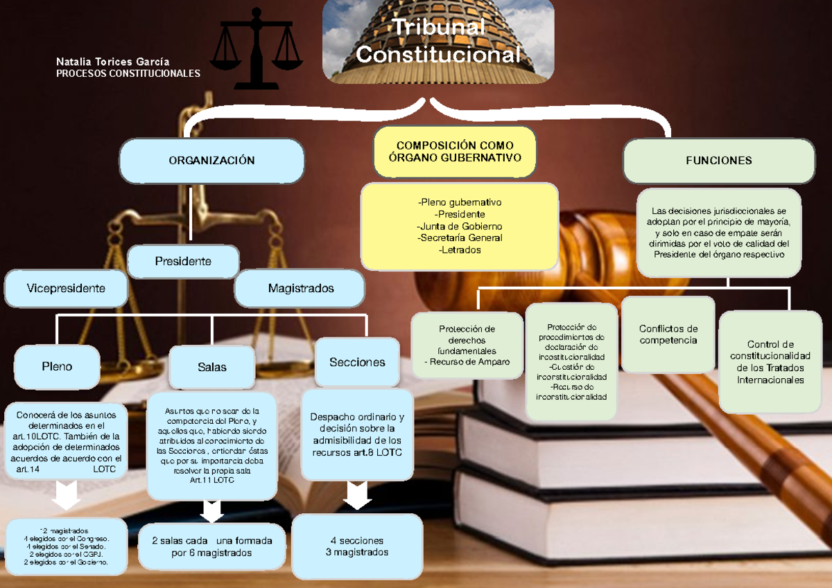 Esquema Procesos Constitucionales - Natalia Torices García PROCESOS ...