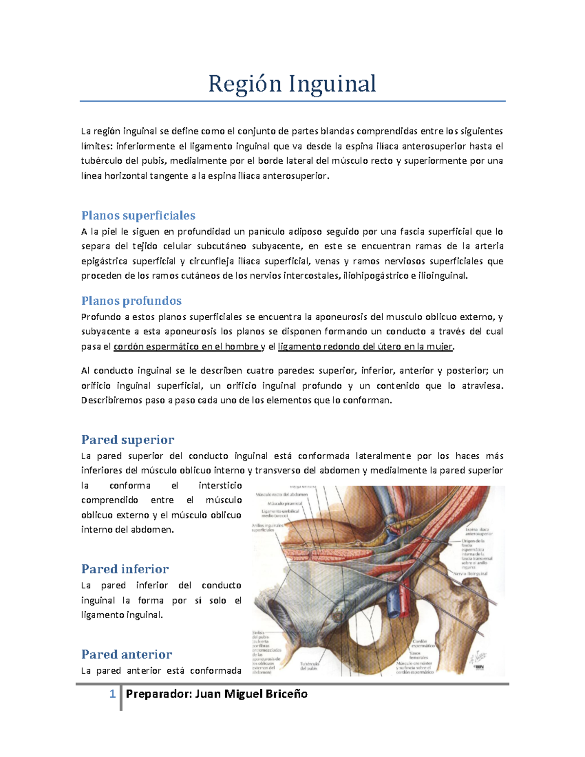 Region inguinal 1 - Anatomia 2 - 1 Preparador: Juan Miguel Briceño ...