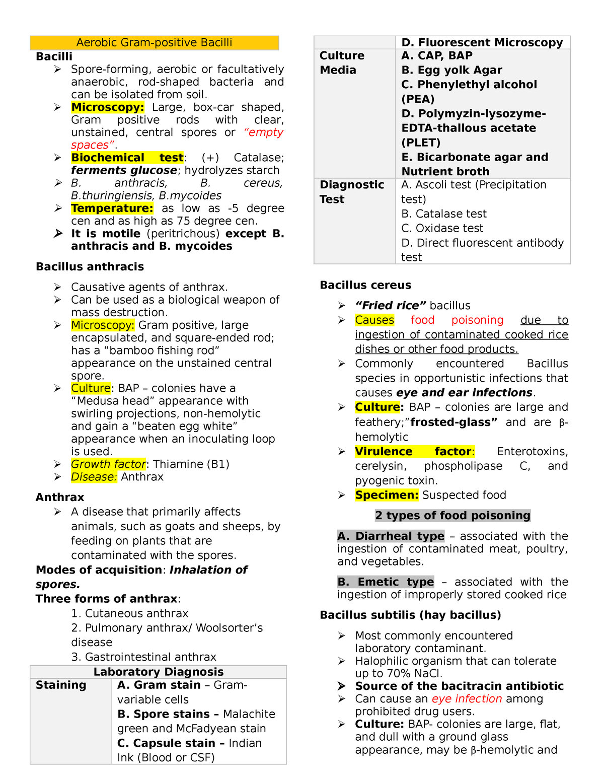 aerobic-gram-positive-bacilli-aerobic-gram-positive-bacilli-bacilli