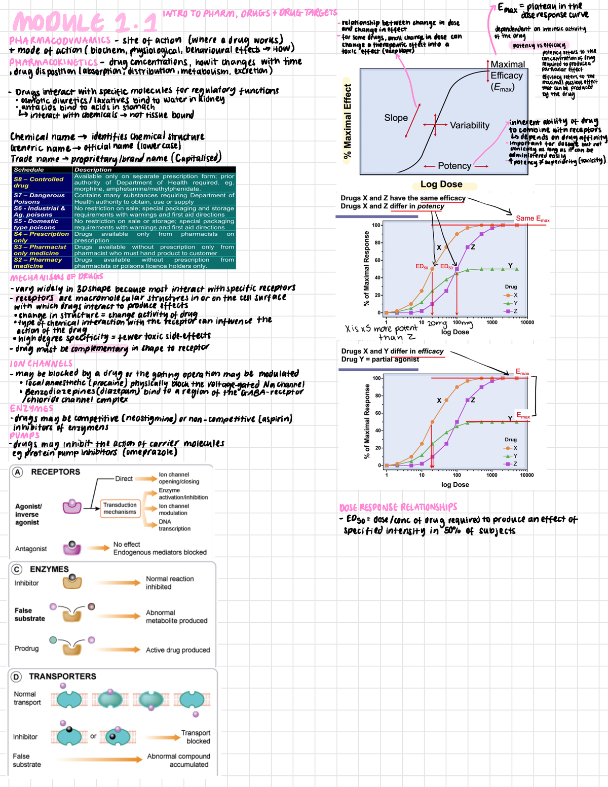 Pharmacology summary notes modules 1-4, lectures 1-6 - [ Emax = Plateau ...