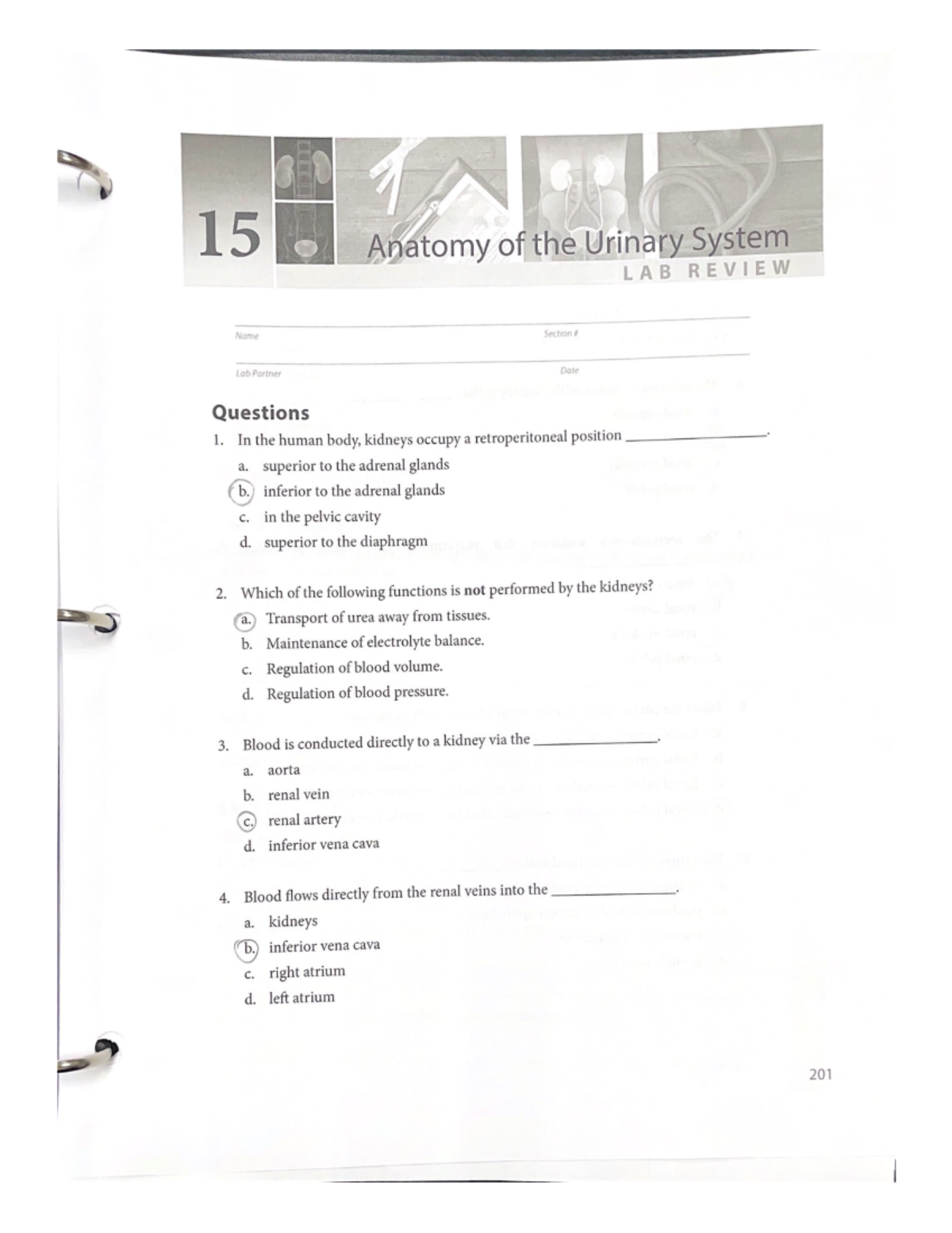 Chapter 15 Notes 2401 Studocu Chapter 15 Notes 2401 Studocu