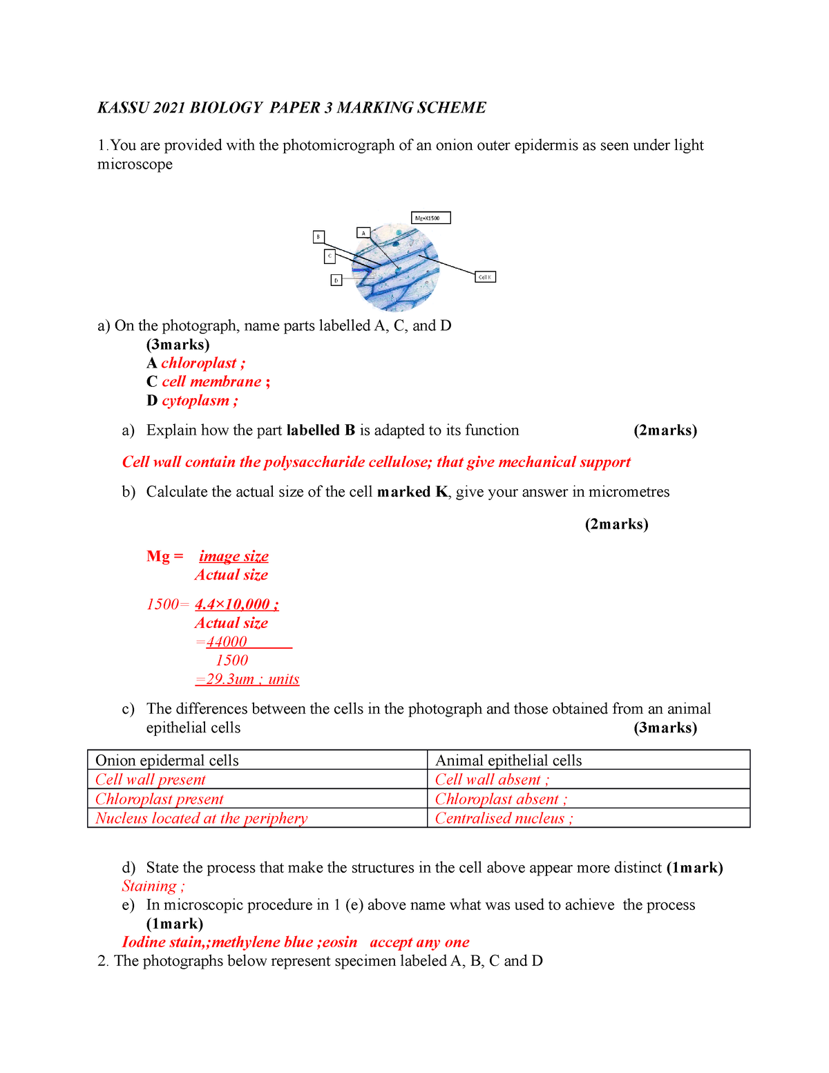 biology paper 3 essays