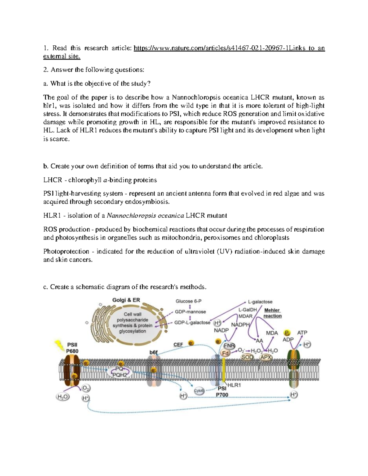 Chlorophyll CHLOROPHYL Read this research article nature/articles