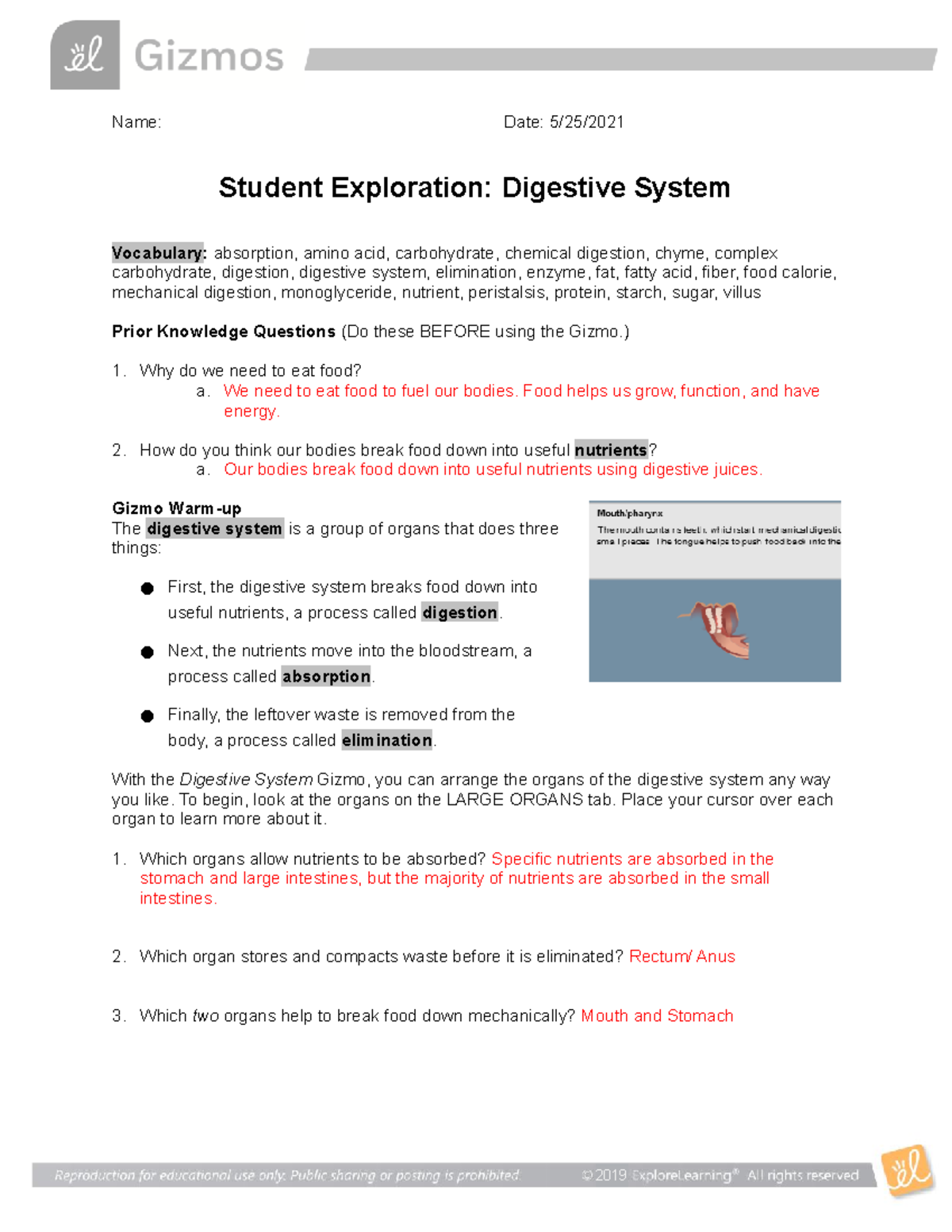 digestive-system-gizmo-name-date-5-25-student-exploration