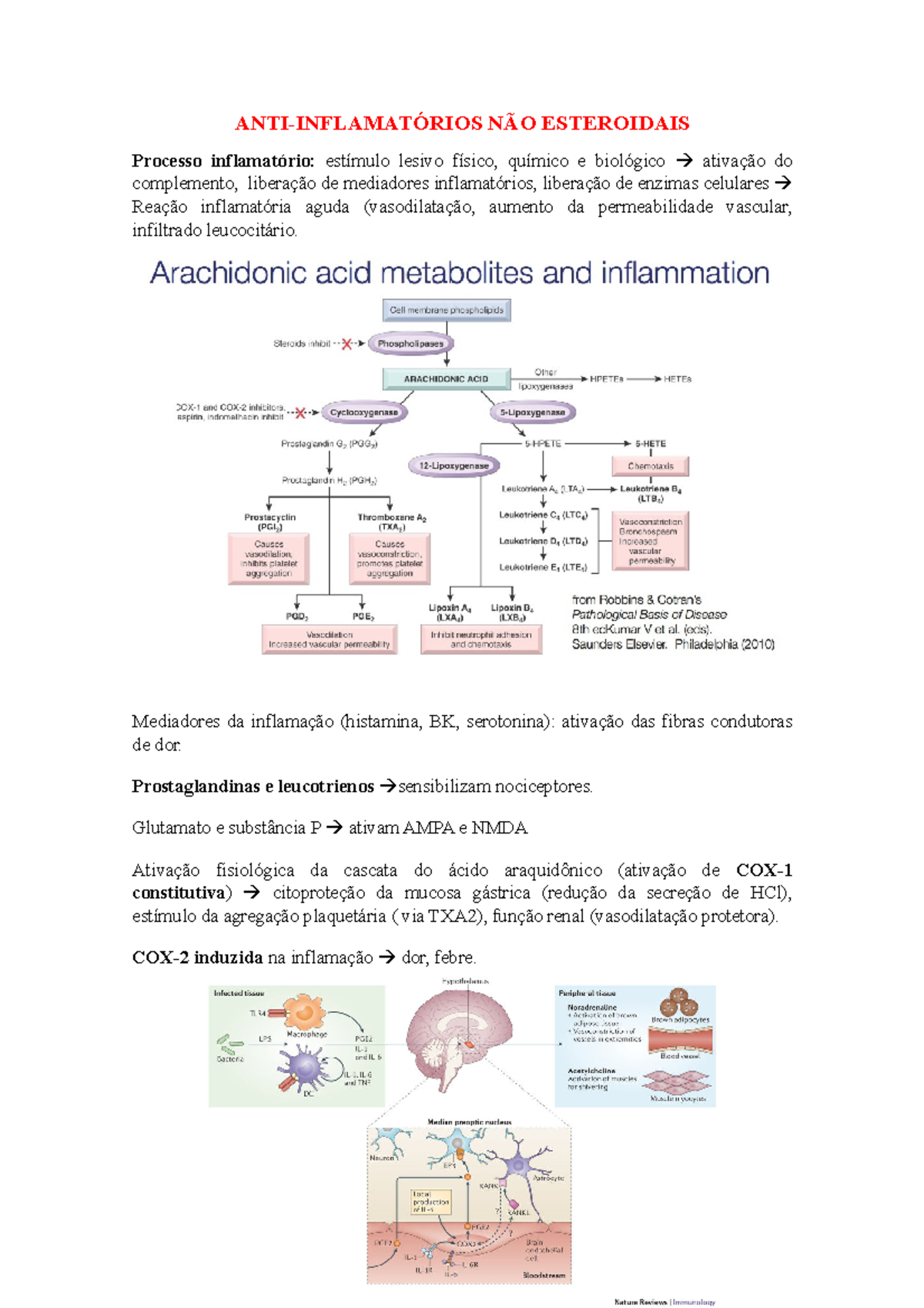 Anti-inflamatórios não-esteroidais - ESTEROIDAIS Processo lesivo e do ...