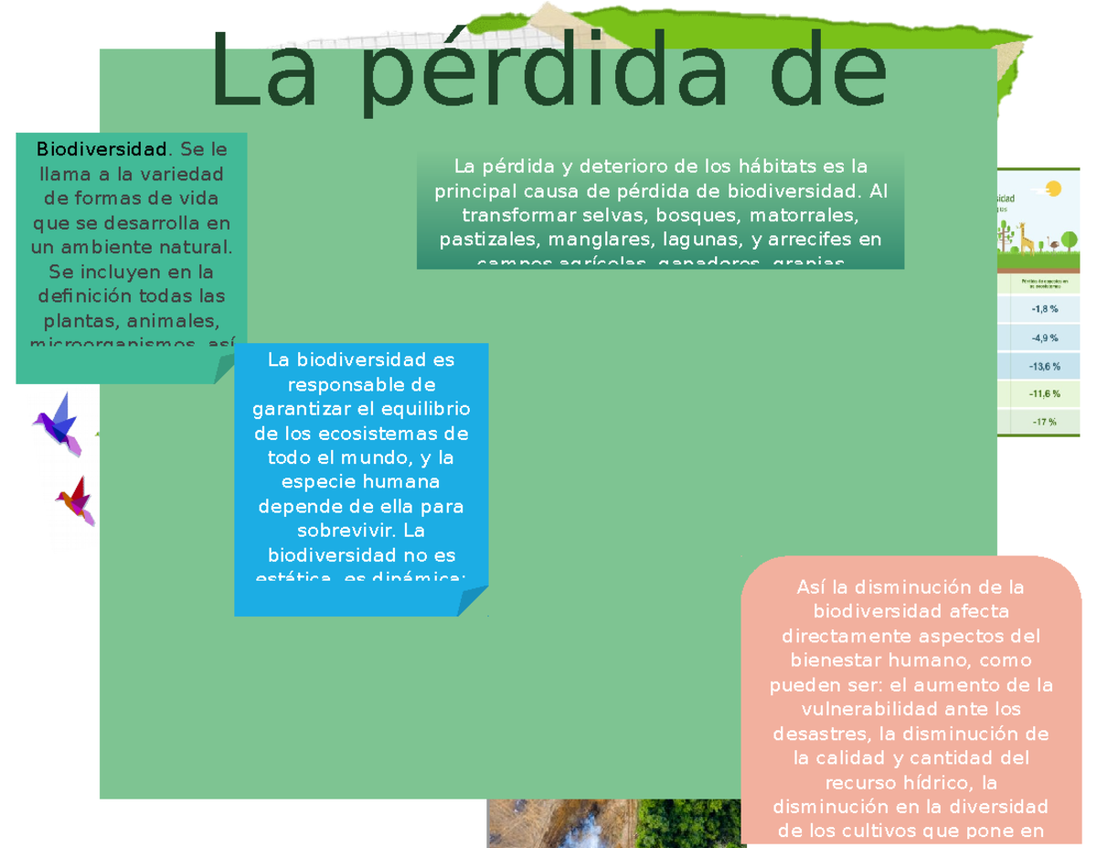 La biodiversidad - infografia - Así la disminución de la biodiversidad ...