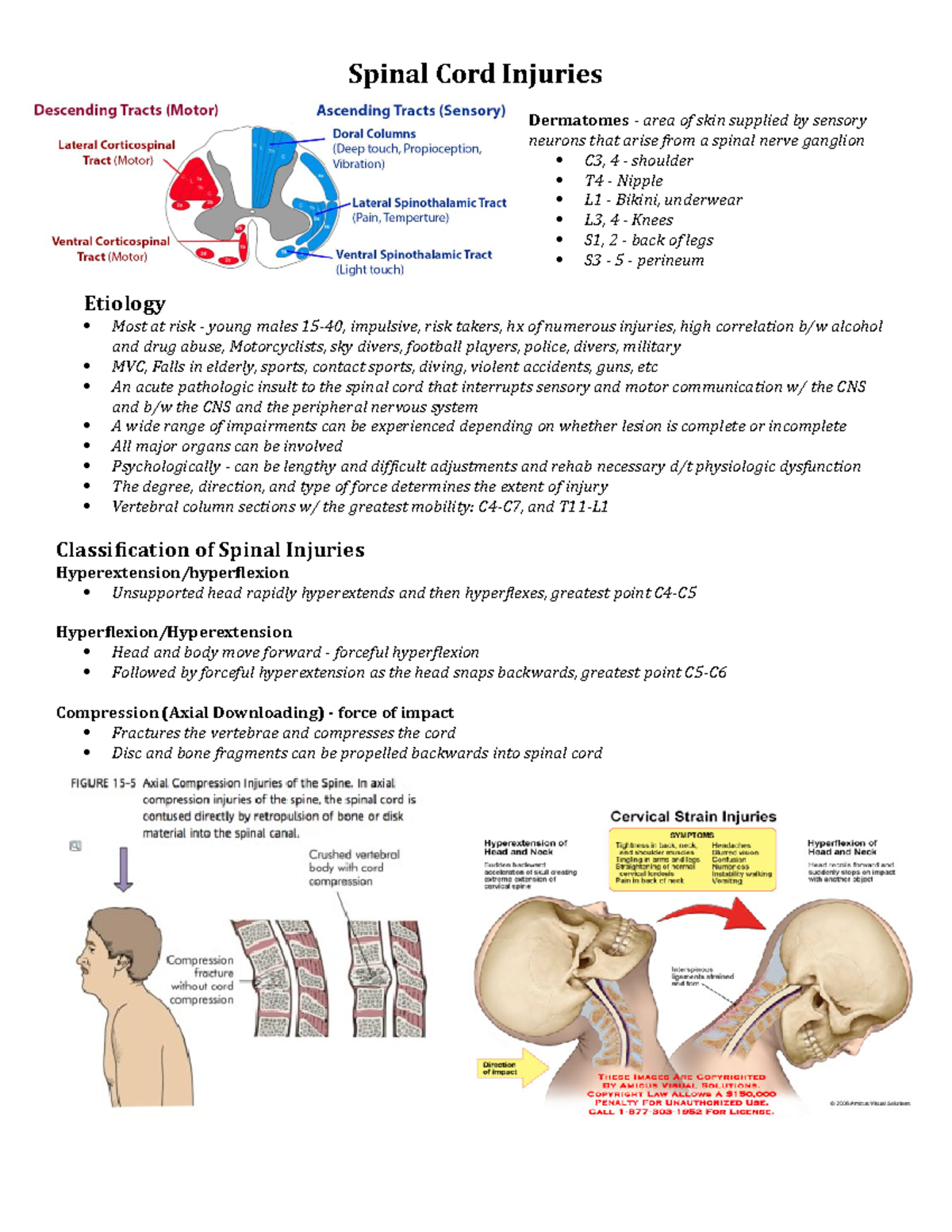 Spinal Cord Injuries - Last Year - Spinal Cord Injuries Dermatomes ...