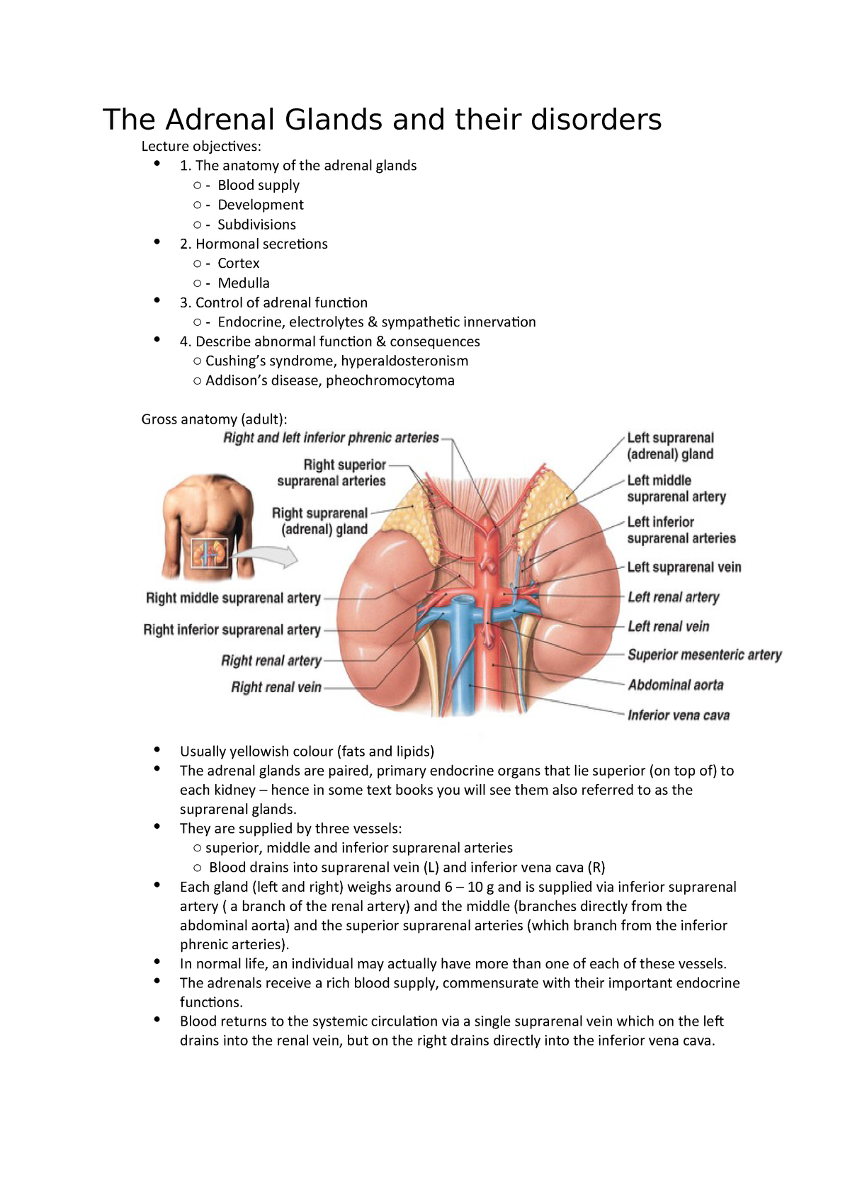 adrenal function