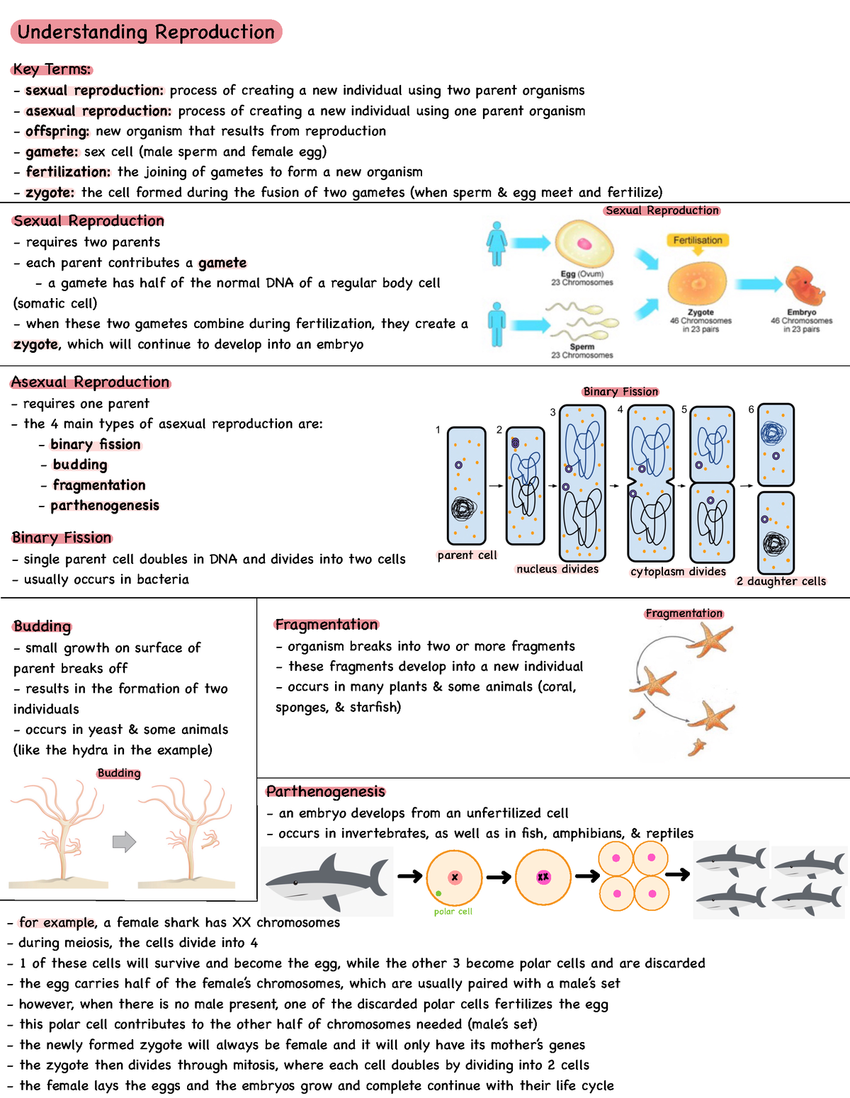 Bio 1001A Cycle 7 Notes - 1001 - UWO - Studocu