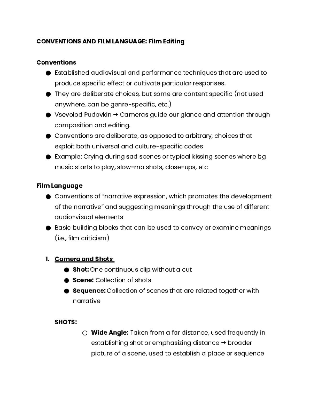 CAMVIDP Third Meeting Lecture Notes - CONVENTIONS AND FILM LANGUAGE ...