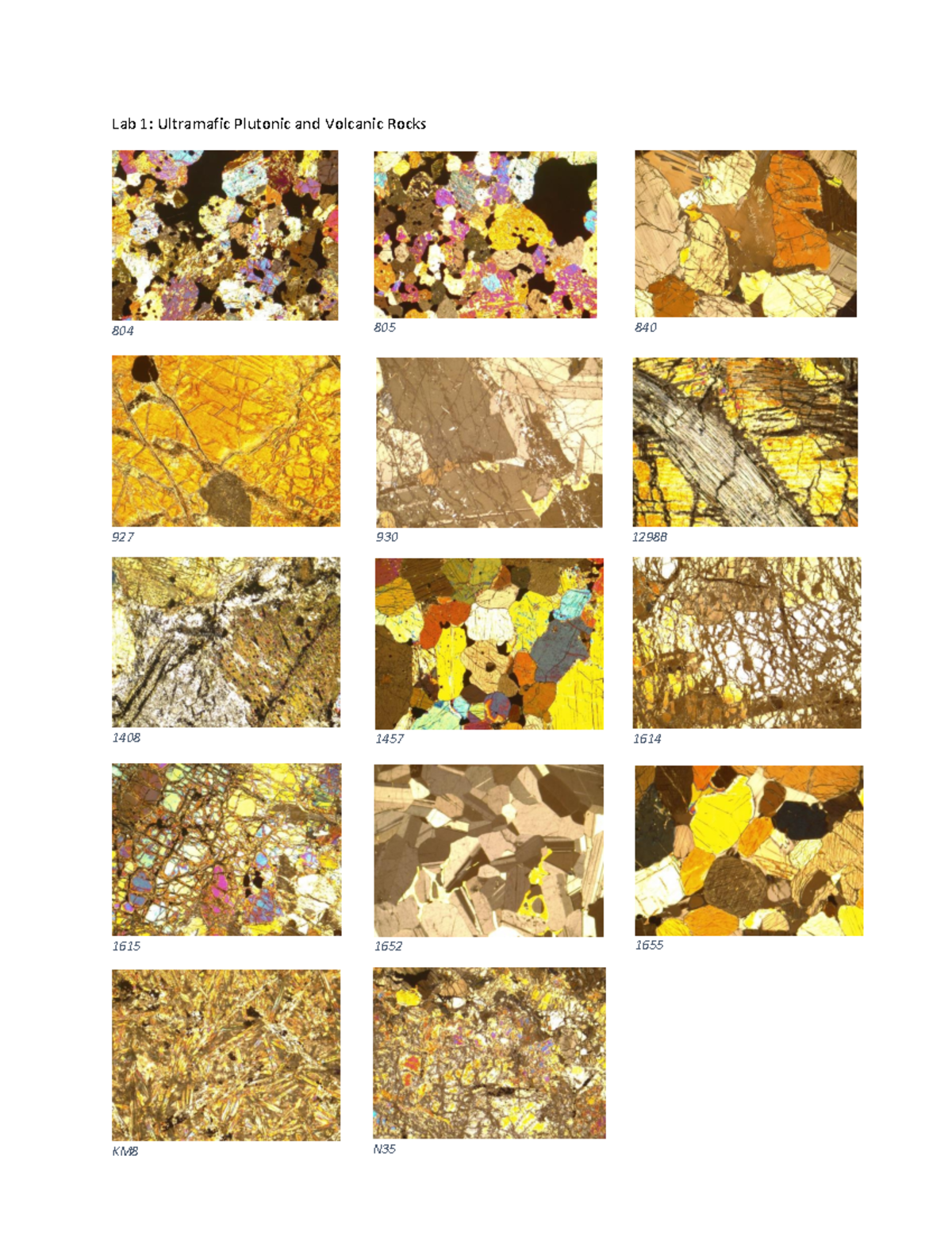 Thin Sections for Final - Lab 1: Ultramafic Plutonic and Volcanic Rocks ...