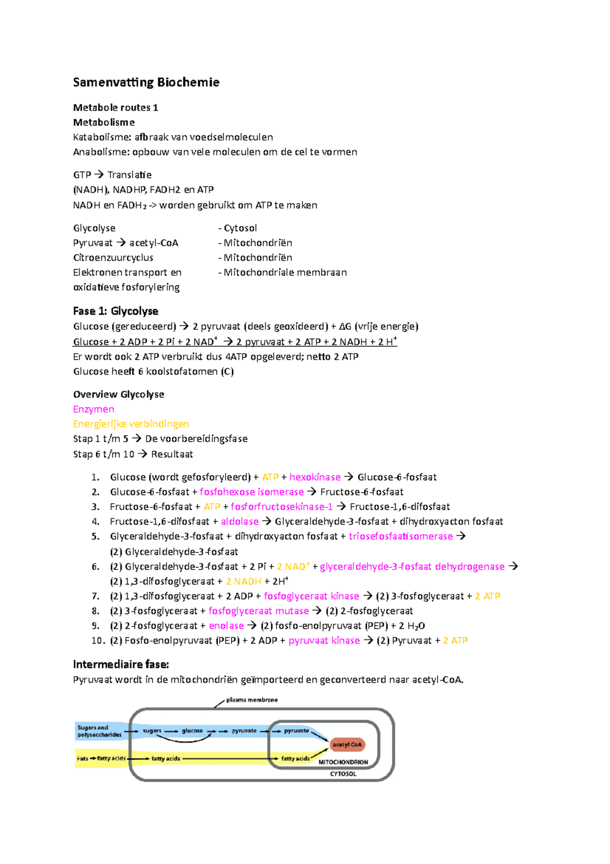 Samenvatting - Biochemie - Samenvatting Biochemie Metabole Routes 1 ...