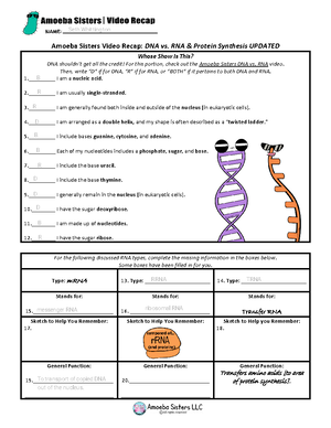 Kami Export - Seth Whittington - dna vs rna and protein synthesis updated recap by amoeba sisters - Studocu Kami Export - Seth Whittington - dna vs rna and protein synthesis updated recap by amoeba sisters - Studocu