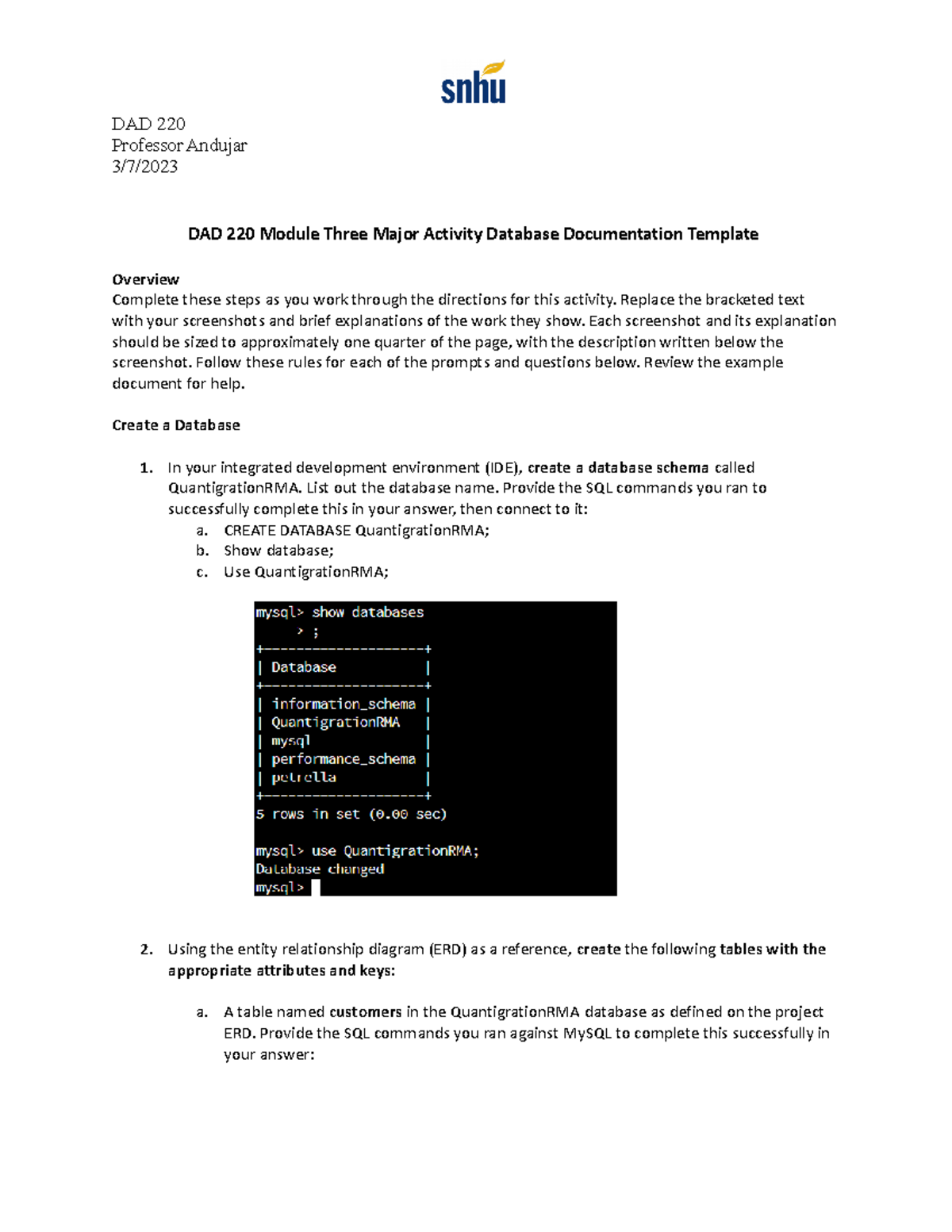 DAD 220 Module Three Major Activity Database Documentation Template ...