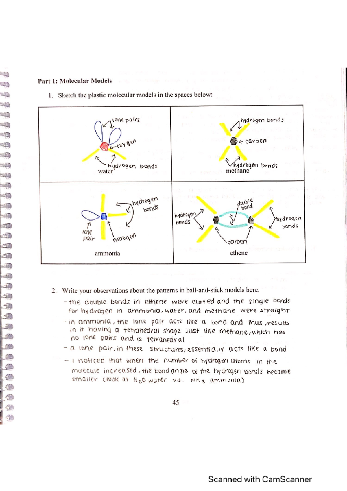 CHEM 1A Molecules LAB AND LAB Notebook - CHEM 1AL - Studocu