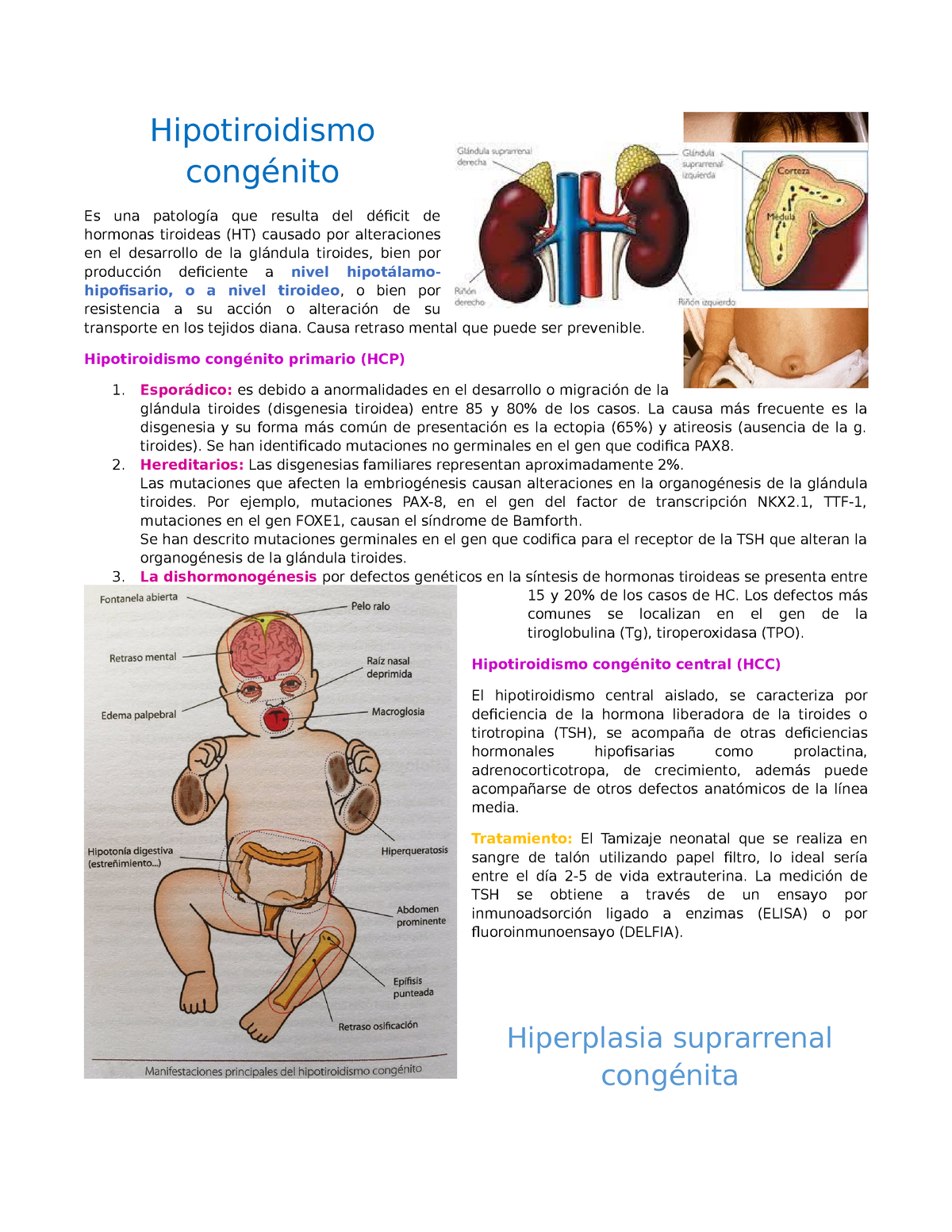 Repaso Y Resumen De La Enfermedad Hipotiroidismo Congénito