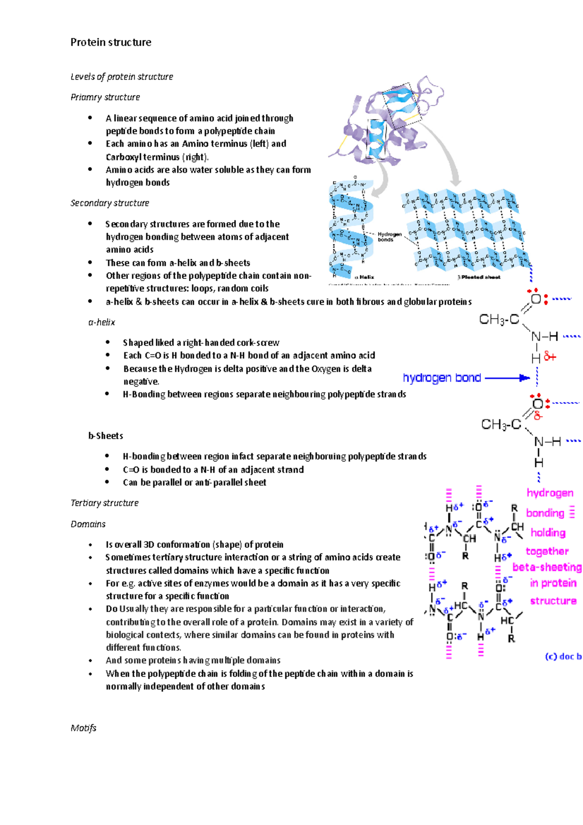 Levels of Protein Structure and Interactions Studocu