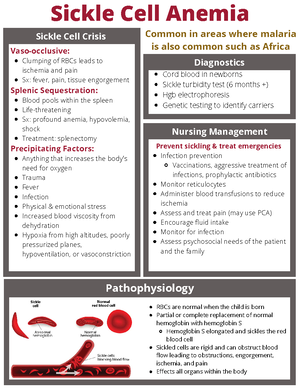 exam 2 study guide pediatrics simmons - GENERAL CARDIAC CONCEPTS ...