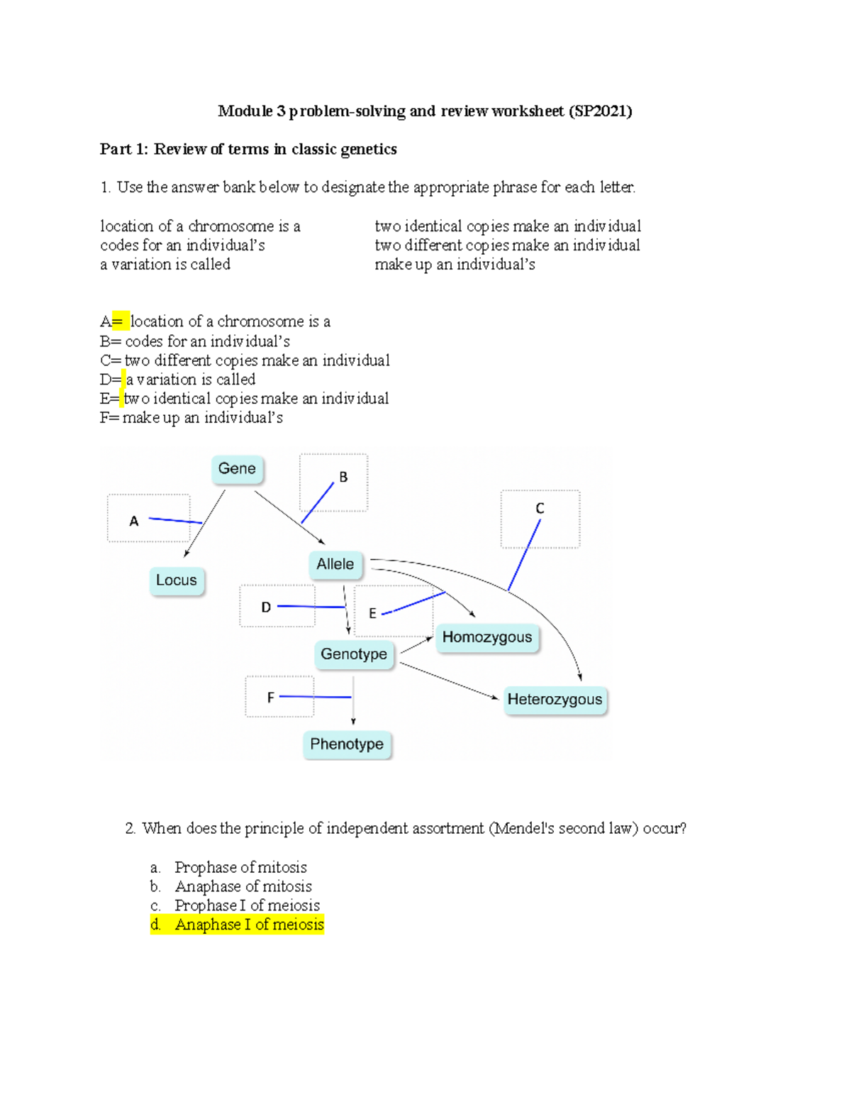 Module 3 Problem-solving Worksheet - Module 3 Problem-solving And ...