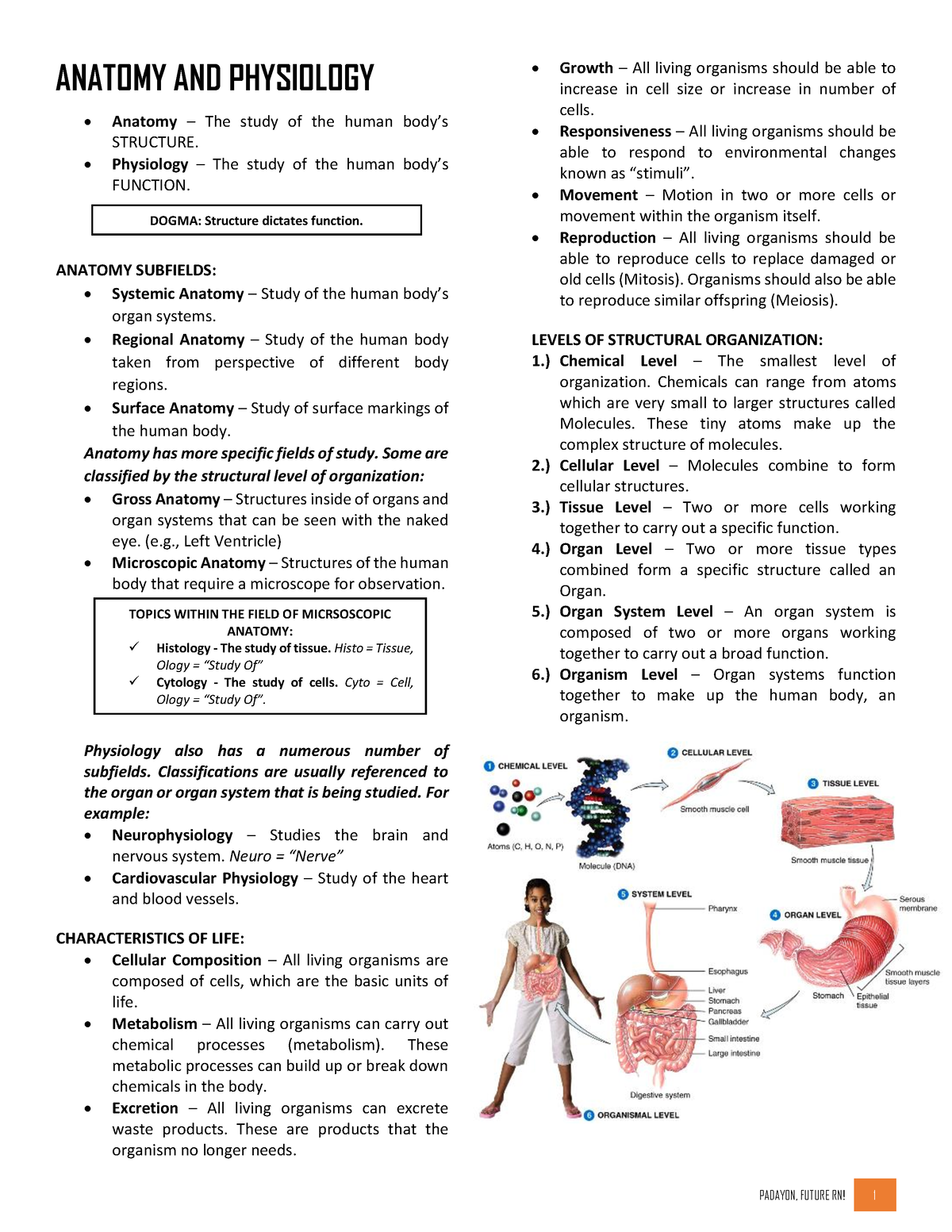 Anaphy - CH01 - Bbbb - ANATOMY AND PHYSIOLOGY Anatomy – The Study Of ...