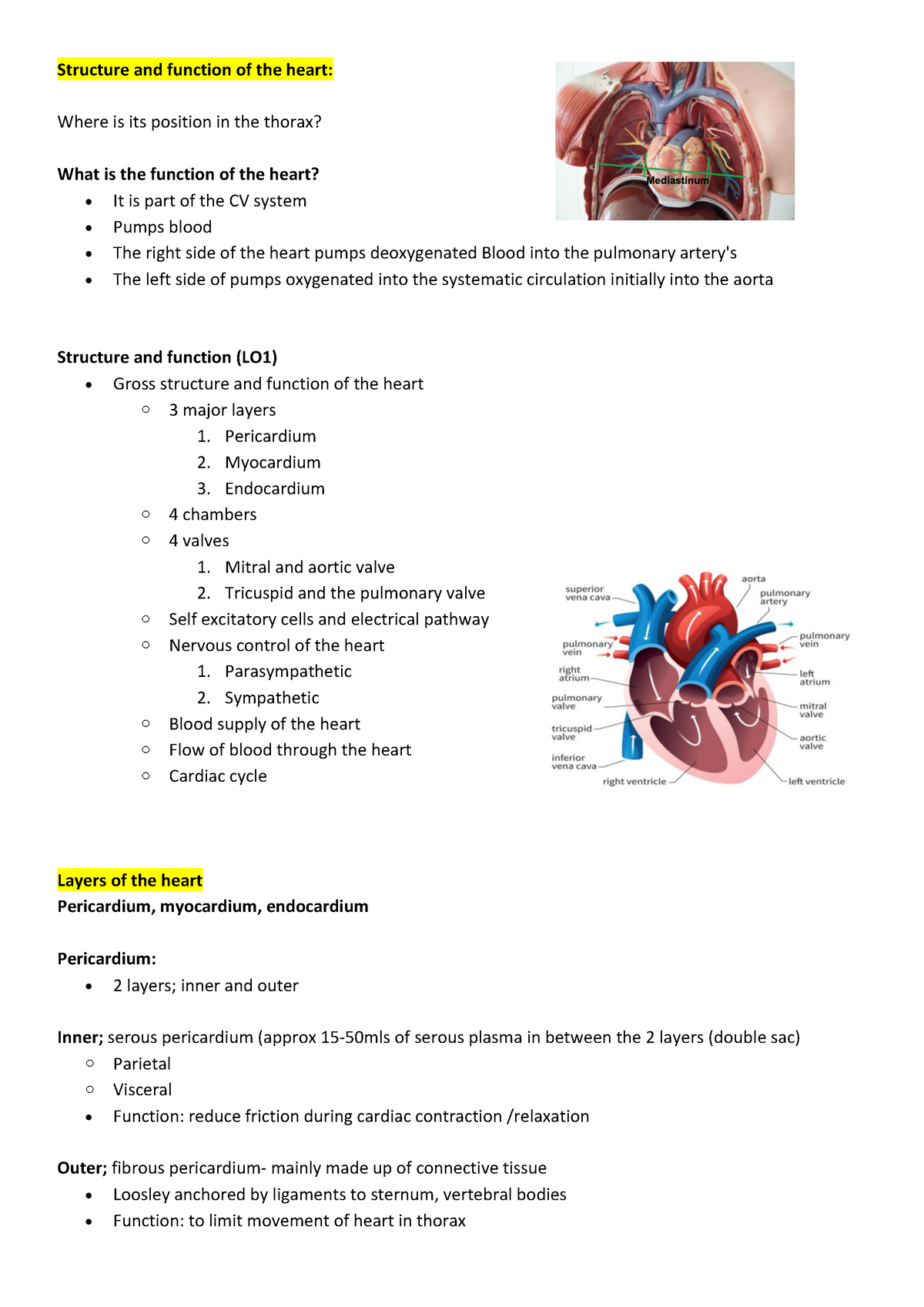 Cardio vascular notes - Structure and function of the heart: Where is ...