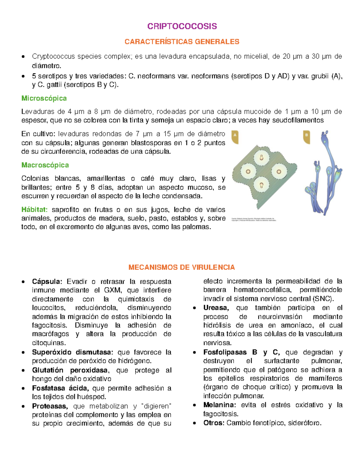Criptocosis - Criptococosis - CRIPTOCOCOSIS CARACTERÍSTICAS GENERALES ...