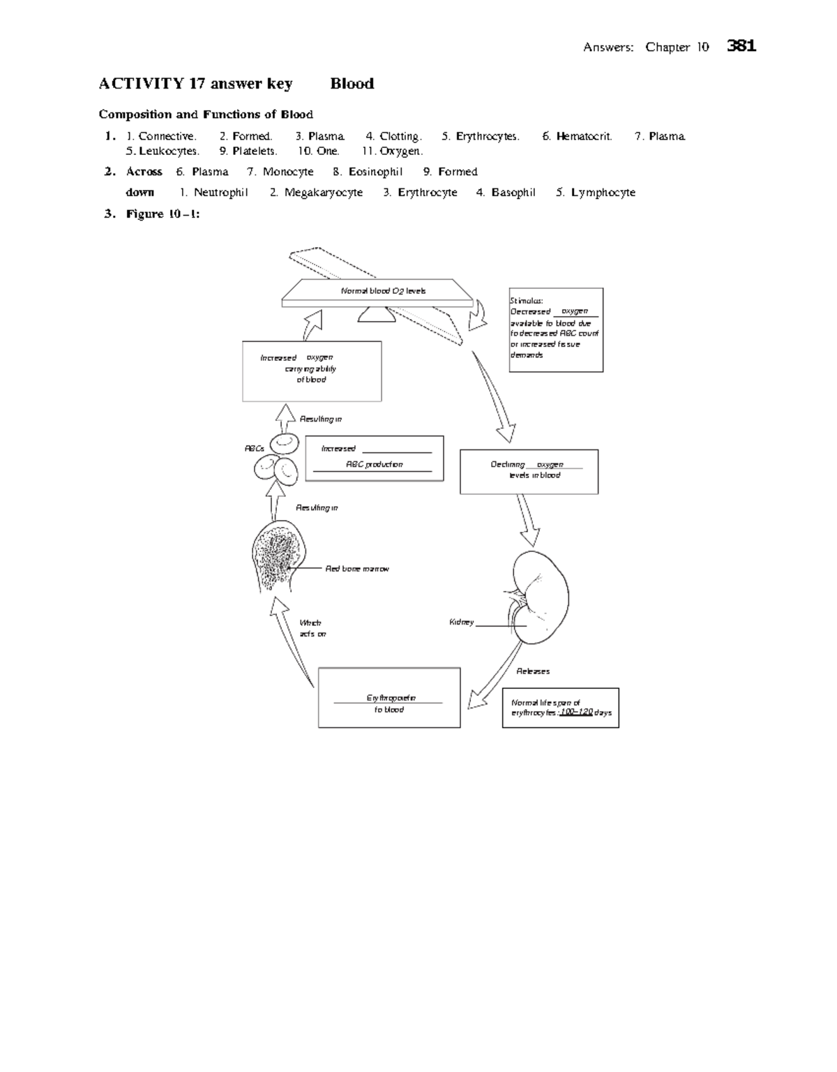 Activity 17 answer key Blood (20231227094629) - Answers: Chapter 10 381 ...